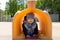 Child playing in playground, walking trough tunnel