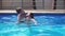 Child playing in the pool with his mother. Young family in the pool teaching his son to swim. Family swimming in the