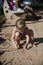 Child playing with sand on the playground