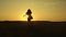Child plays and fly in arms of mom at sunset in field. mother whirls with a small daughter in her arms, healthy child in