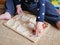 A child plays a game developing motor skills. the child remembers the types of animals