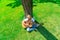 The child plays the guitar in nature, top view