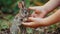 a child plays with a small rabbit in nature