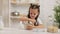 Child pours milk into a bowl of cereal in the kitchen.