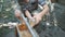 A child pours millet into a chicken feeder.