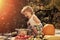 Child prepares to eat. Smiling boy at picnic