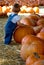 Child in Pumpkin Patch