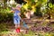 Child and rake in autumn garden. Kid raking leaves