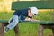 Child reading on a bench