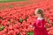 Child in red flower field. Poppy and tulip garden.