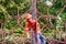 Child with red raincoat of firefighter clings to a rope in a playground during rain