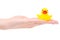 Child rubber duck in female hands