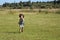 Child running across field