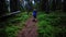 Child running on hiking trail in forest travel and journey concept slow motion