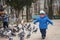 Child running after pigeons. Boy playing with pigeons doves birds in city park