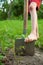 Child`s bare foot on the metal spade