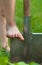 Child`s bare foot on the metal spade