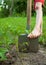 Child`s bare foot on the metal spade