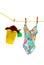 Child\'s bathing suit and toys on clothes line