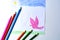 A child`s drawing of a pink dove, grass and sky with colored pencils