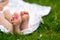 A child& x27;s feet on a picnic - a white blanket and green grass