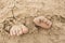 A child`s feet on a sandy beach