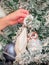 A child`s hand hangs a Christmas tree toy on a Christmas decoration