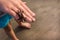 Child`s Hand holding Baby Crab on beach