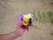 Child's hand holding field flowers, sand background, summer