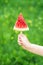 A child`s hand is holding a triangular slice of a watermelon on a green nature background