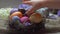 Child`s hand lays festive colored egg