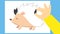 child\\\'s hand making a hedgehog applique