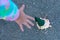 The child's hand reaches for the ice cream that has fallen on the asphalt. Bright ice cream in a green cone fell on the