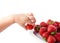 Child\'s hand with strawberries.