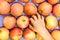 Child\'s hand taking red apple from display full of