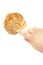 Child\'s hand touches a seashell