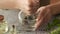 Child`s hands crushing dried herbs in a mortar, with bottles of essential oil and blooming peppermint in the foreground