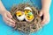 The child`s hands hold a nest with toy chickens and eggs