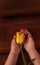 Child\'s hands hold yellow tulip flower flat lay. Love, people care kids donations charity, grace support welfare concept