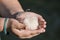 Child& x27;s hands holding a scooped ball of cottonwood fluff allergens