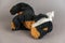 A child`s toy with a bandaged head lies. Black stuffed dog on a gray background. The concept of childhood trauma. Mental health