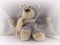 Child`s toy sweet, gray teddy bear sends a hug! A toy on a white background.