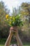 Child showing springtime, wild, local flowers with strength for nature