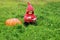 Child sit turn the floor on grass near huge pumpkin. Sunny warm day. copy space for text. The symbol and carnival costume of holid