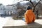 Child sitting on Lermontov site wall