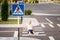A child is sitting on the road at a pedestrian crossing among road signs, traffic rules for children