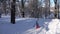 Child Sledding in Snow, Little Girl Playing in Winter, Kid Sledging in Park 4K