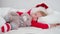 Child sleeping before Christmas. Little girl in Santa hat and Christmas pajamas lying in white bed hugging teddy bear at