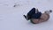 Child slides on sled in the winter park and laughs. Slow motion. happy girl sledding in snow from hill.