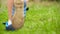 A child in sneakers runs through the green grass in slow motion. Feet baby closeup.